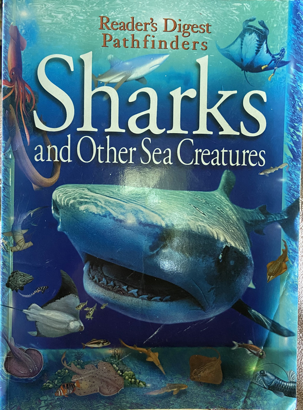 Reader's Digest Pathfinders: Sharks And Other Sea Creatures PB