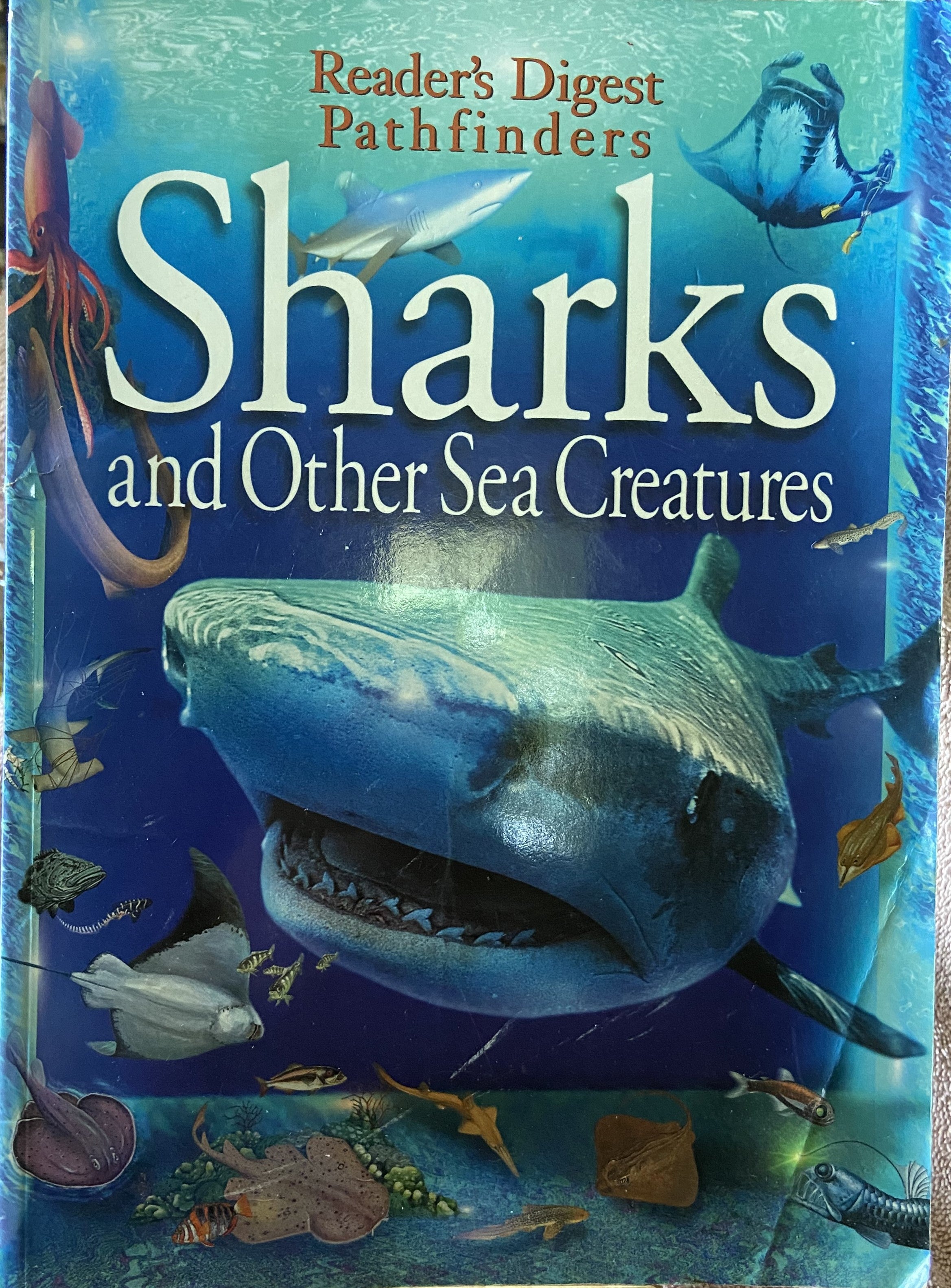 Reader's Digest Pathfinders: Sharks And Other Sea Creatures PB