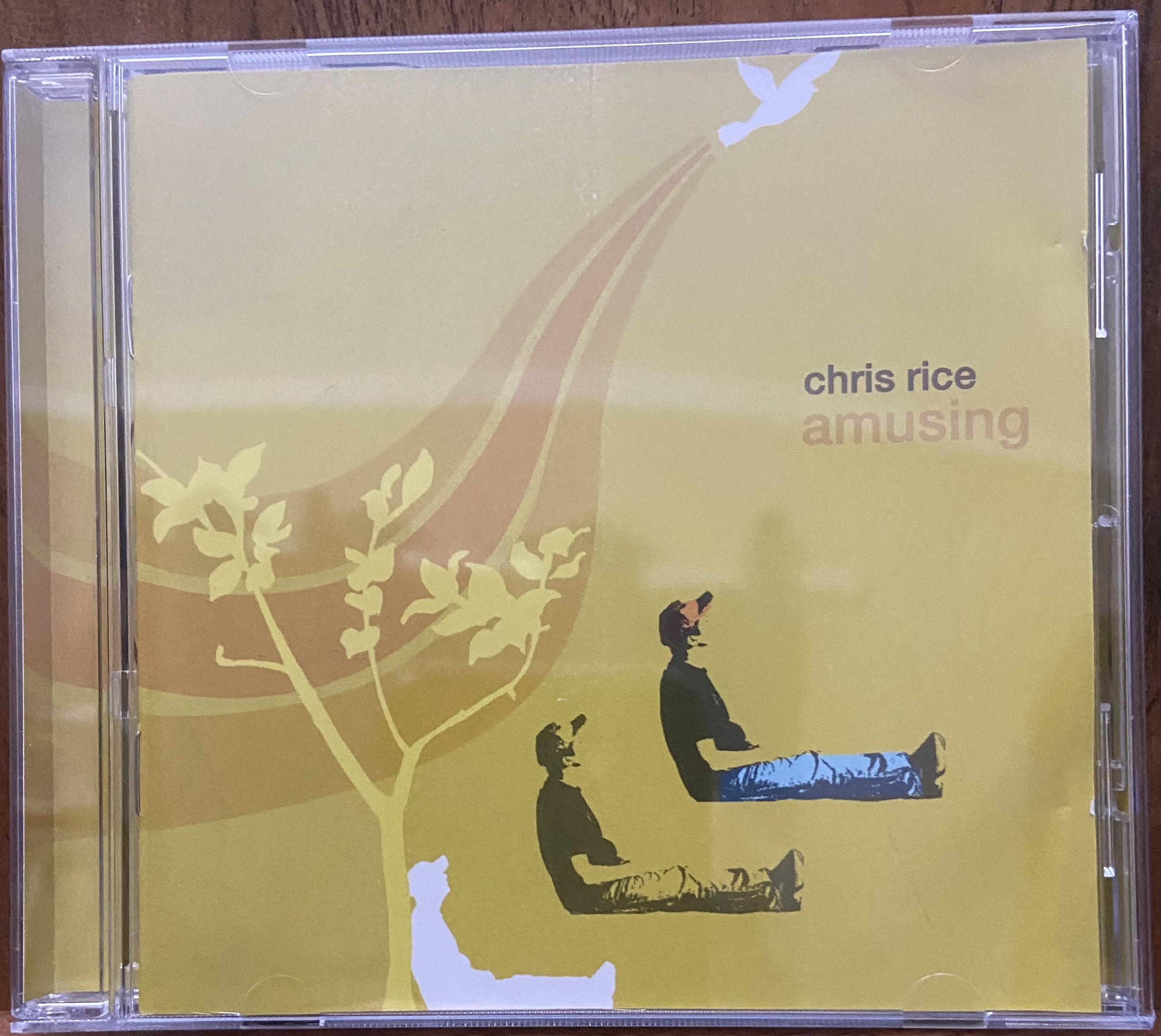 Chris Rice: Amusing