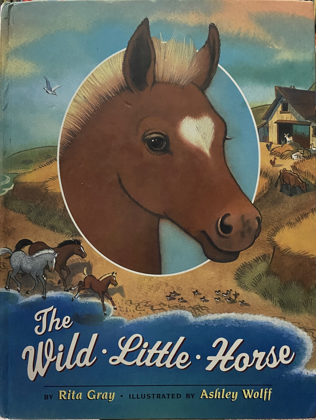 Rita Gray: The Wild Little Horse