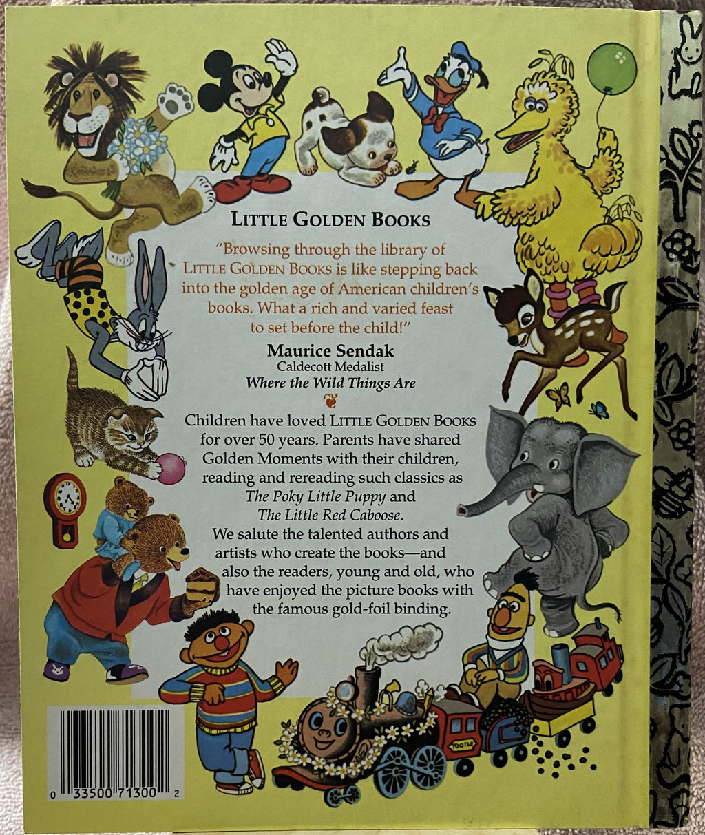 Shy Little Kitten, The - A Little Golden Book